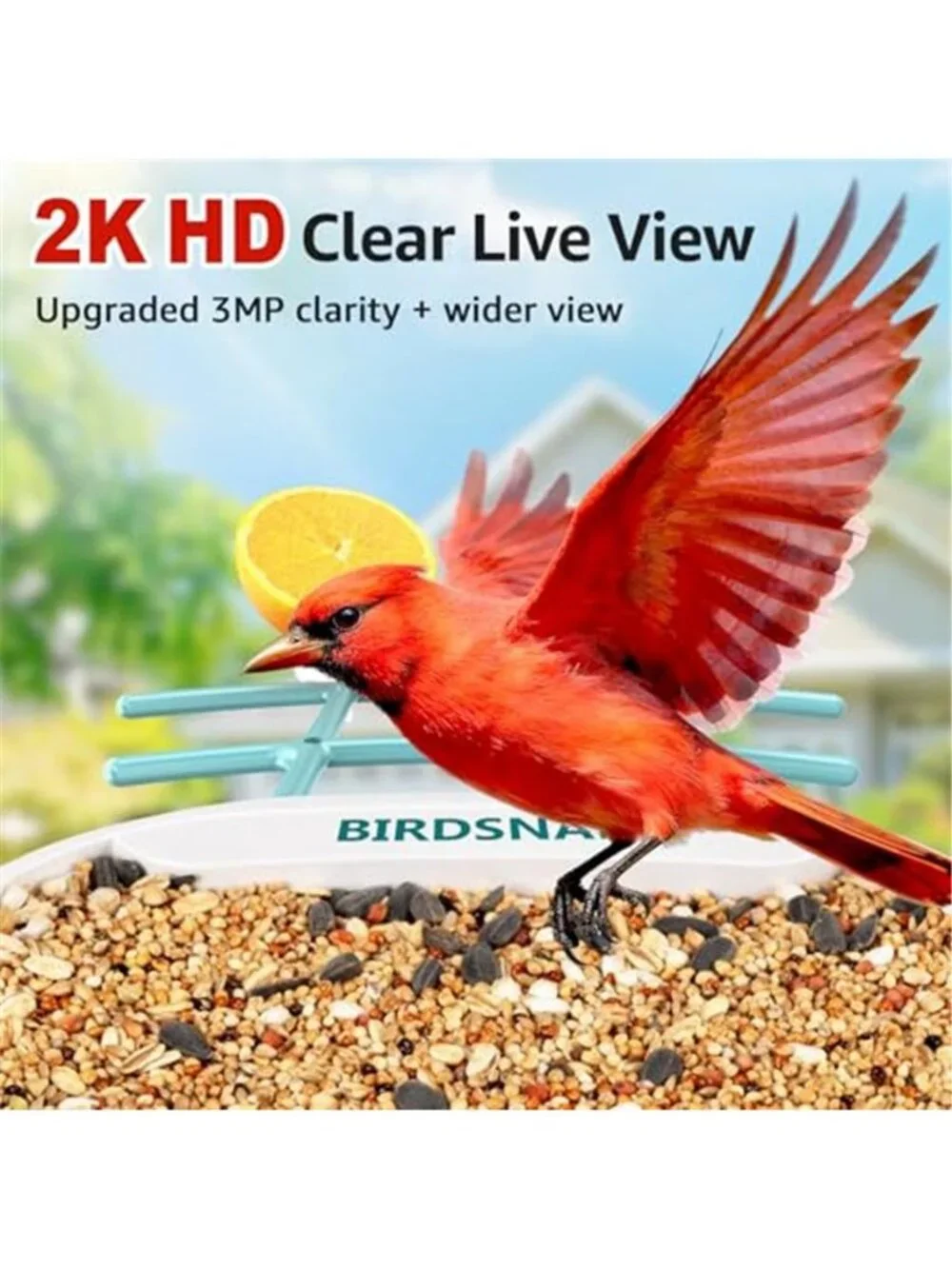 New TUC Bird Feeder with Camera 2K HD Live with 32GB Card Auto Detect &